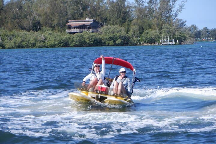 Drive-a-Craigcat on Anna Maria Island: Fast Gulf Tours for Dolphins & Manatees photo 3