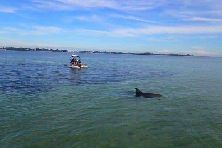 Drive-a-Craigcat on Anna Maria Island: Fast Gulf Tours for Dolphins & Manatees photo 4