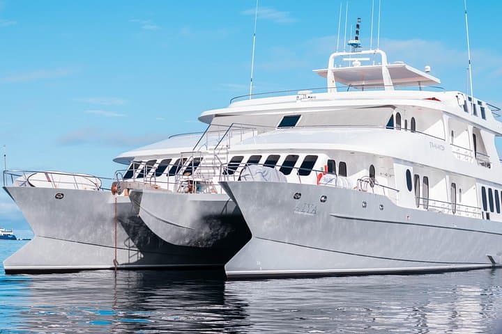 Luxury Galapagos Cruise Aboard the Galaxy Alya — 5–6 Day Catamaran Itineraries photo 3