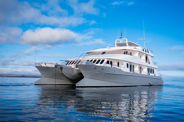 Luxury Galapagos Cruise Aboard the Galaxy Alya — 5–6 Day Catamaran Itineraries photo 4