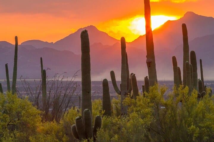 Sunset Great Western Trail Jeep Tour: Off-Road Sunset Views & Rio Verde Overlook