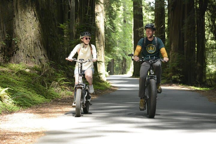 E-Bike the Avenue of the Giants: 4-Hour Redwood Forest Tour
