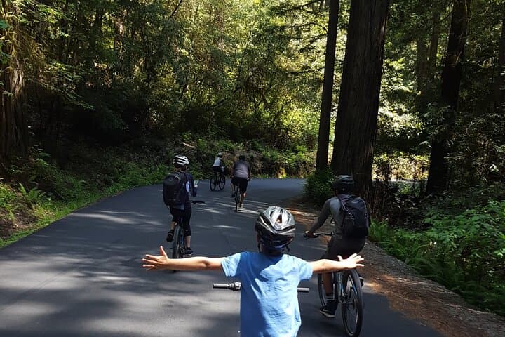 E-Bike the Avenue of the Giants: 4-Hour Redwood Forest Tour photo 2