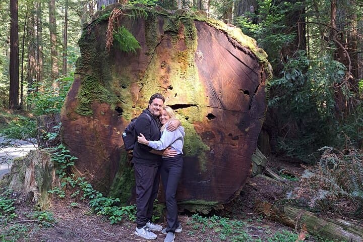 E-Bike the Avenue of the Giants: 4-Hour Redwood Forest Tour photo 4