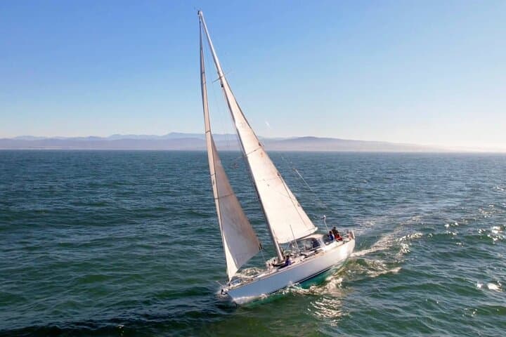 Private Sailing Trip on Monterey Bay - Whale Watching & Coastal Charter photo 4