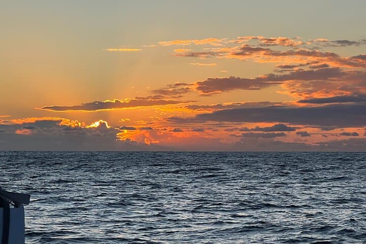 Private Sailing Trip on Monterey Bay - Whale Watching & Coastal Charter photo 5