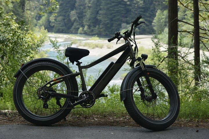E-Bike the Avenue of the Giants: 4-Hour Redwood Forest Tour photo 6