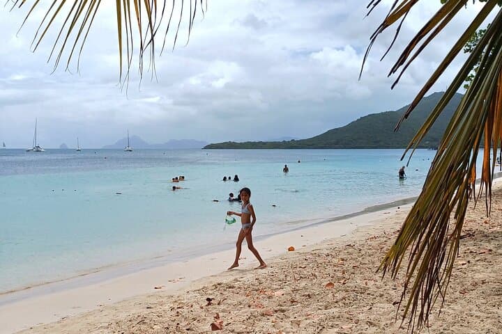 Southern Martinique Beaches Day Tour — Les Salines, Snorkel & Rum Tasting