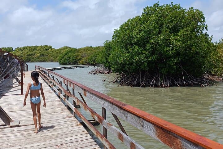 Southern Martinique Beaches Day Tour — Les Salines, Snorkel & Rum Tasting photo 3