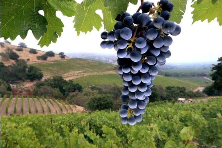 river-to-rose-inflatable-kayak-verde-river-wine-tasting photo 5