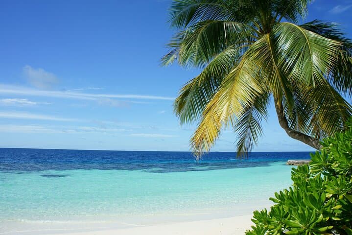 Antigua Private Beach-Hopping Tour: Pick 3 Top Beaches in 4 Hours photo 3