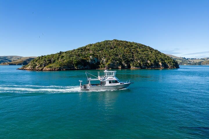 Otago Harbour Water Taxi to Larnach Castle with Castle Entry photo 2
