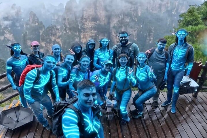 VIP Zhangjiajie Day Tour: Avatar Mountains, Tianzi Peaks & Bailong Elevator