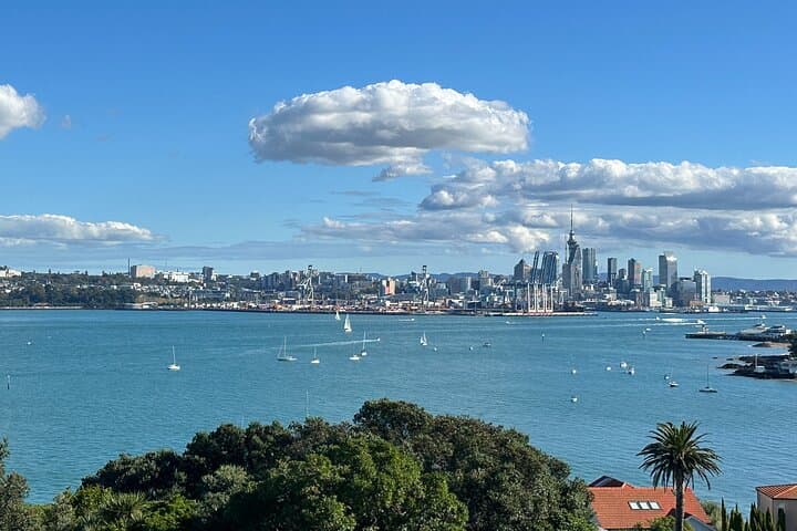 Half-Day Auckland City Highlights: Harbour Bridge, Mount Eden & North Head Tour