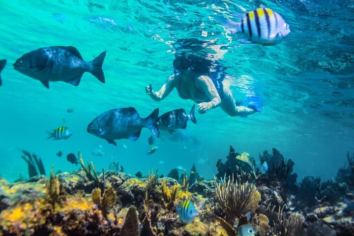 Luxury Catamaran Sailing and Guided Snorkel on the Riviera Maya Reef photo 5