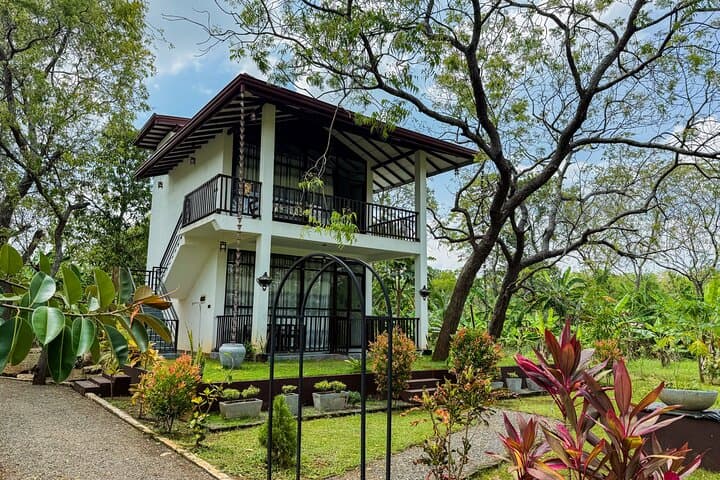 Budget Yala Safari: 1-Night Hostel Stay & Shared Jeep in Tissamaharama