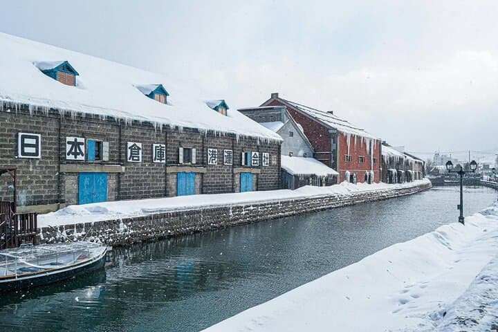 Private Otaru Shore Excursion: 4-Hour Canal Walk, Sankaku Market & Mt. Tengu Ropeway