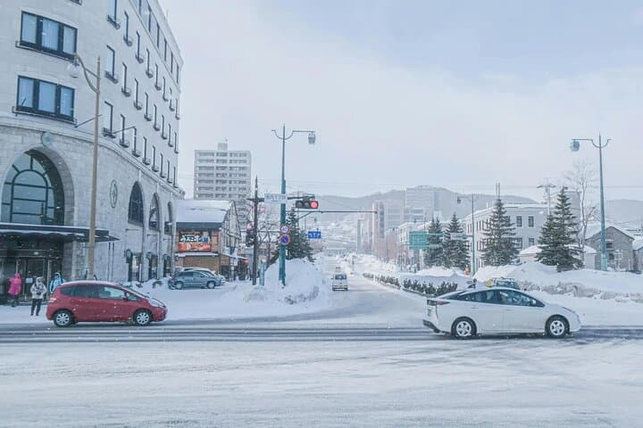 Private Otaru Shore Excursion: 4-Hour Canal Walk, Sankaku Market & Mt. Tengu Ropeway photo 2