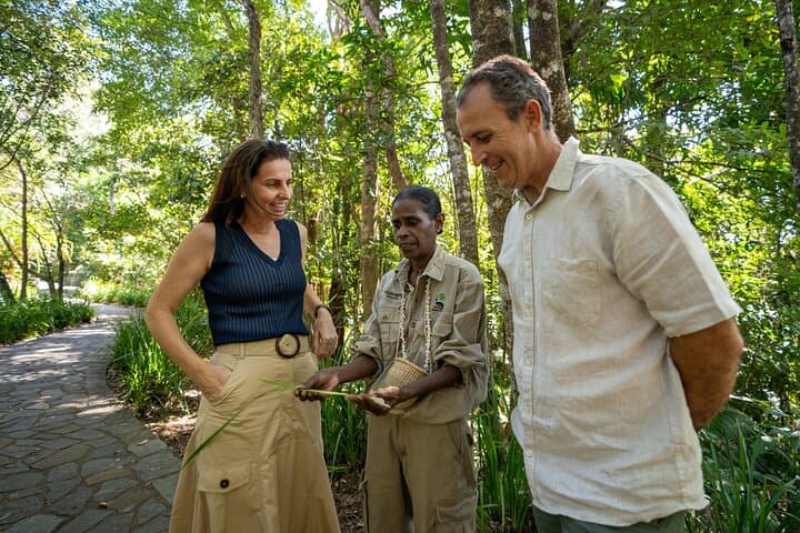 Cairns Waterfall, Wetlands & Kuranda Scenic Rail Day Tour — Barron Gorge Experience photo 4