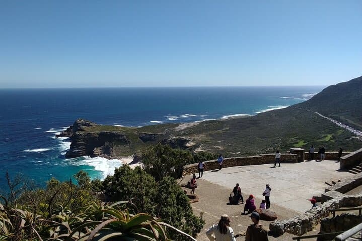 Full-Day Cape Peninsula Tour: Cape of Good Hope, Chapman's Peak & Boulders Beach Penguins photo 5
