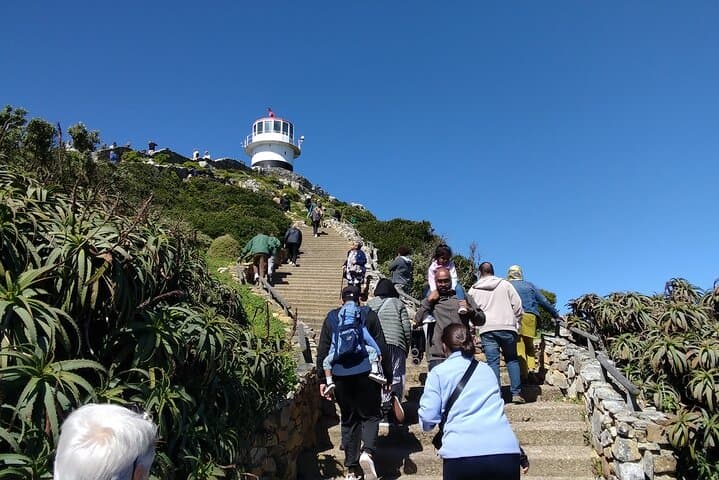 Full-Day Cape Peninsula Tour: Cape of Good Hope, Chapman's Peak & Boulders Beach Penguins photo 6