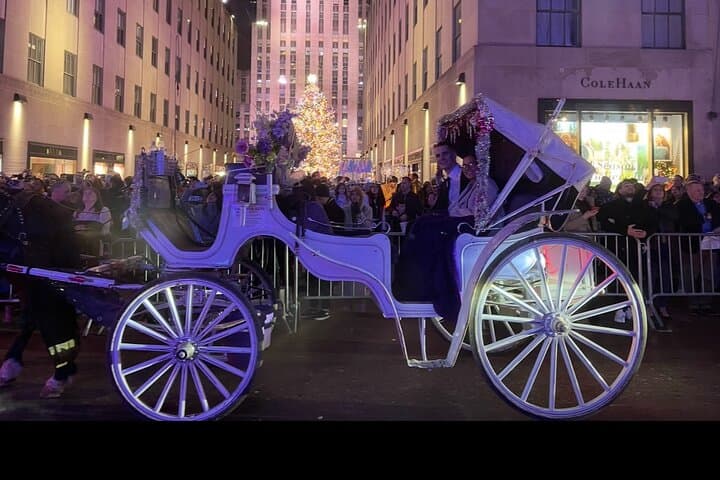 Rockefeller Christmas Lights Horse-Drawn Carriage Tour — NYC Holiday Ride photo 3