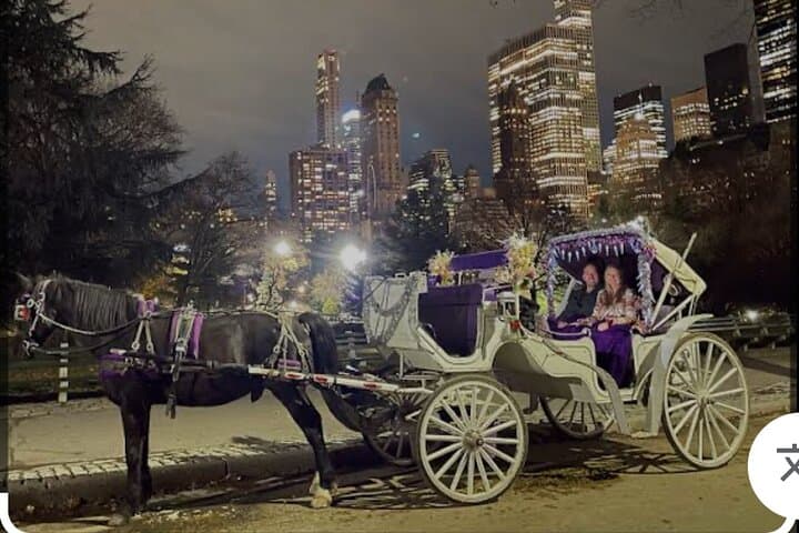 Rockefeller Christmas Lights Horse-Drawn Carriage Tour — NYC Holiday Ride photo 4