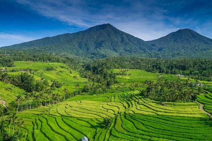 North Bali Private Car Tour: Handara Gate, Ulun Danu & Jatiluwih Day Trip photo 3
