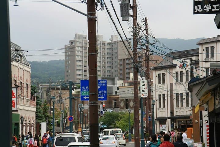 Kagoshima Shore Excursion: Sakurajima Volcano & Sengan-en Garden Day Trip photo 3