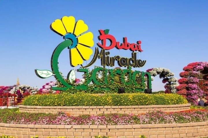 Dubai Miracle Garden: Ultimate Guide to Visiting the World’s Largest Flower Park
