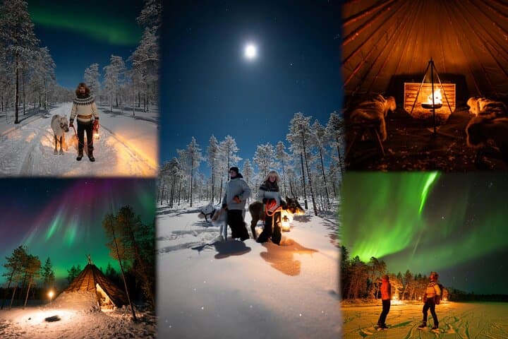 Ranua After-Dark Aurora Park: Sleigh Rides, Reindeer & Sauna Under the Lights