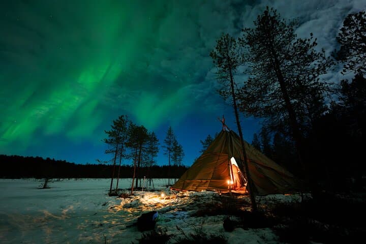 Ranua After-Dark Aurora Park: Sleigh Rides, Reindeer & Sauna Under the Lights photo 2
