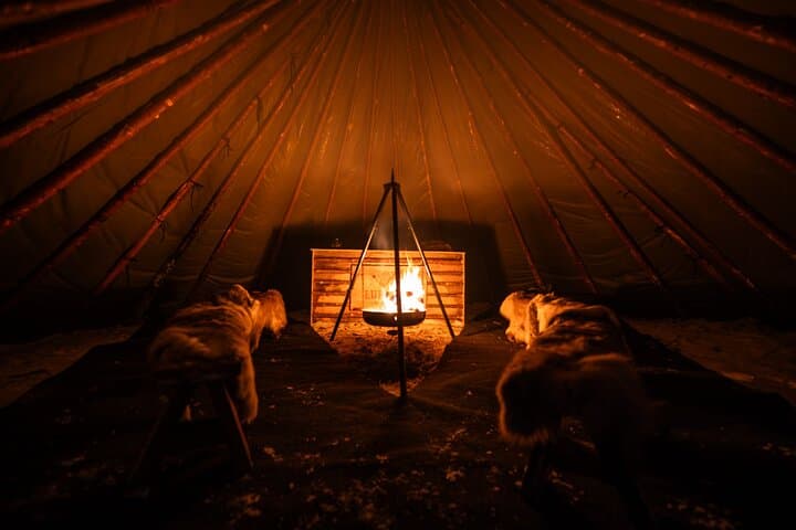 Ranua After-Dark Aurora Park: Sleigh Rides, Reindeer & Sauna Under the Lights photo 3