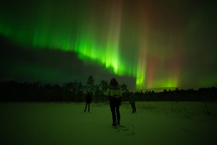 Ranua After-Dark Aurora Park: Sleigh Rides, Reindeer & Sauna Under the Lights photo 5