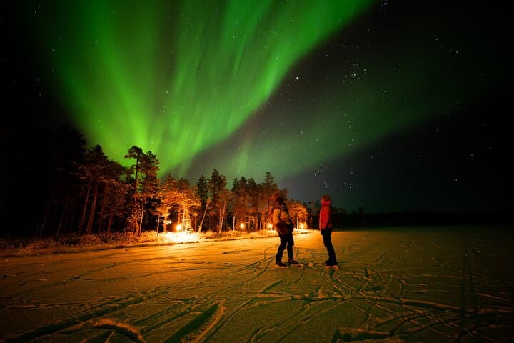 Ranua After-Dark Aurora Park: Sleigh Rides, Reindeer & Sauna Under the Lights photo 6