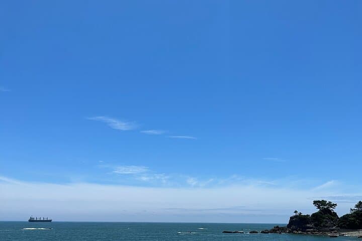 Half-Day Kochi Shore Excursion: Castle, Katsurahama & Hirome Market photo 5