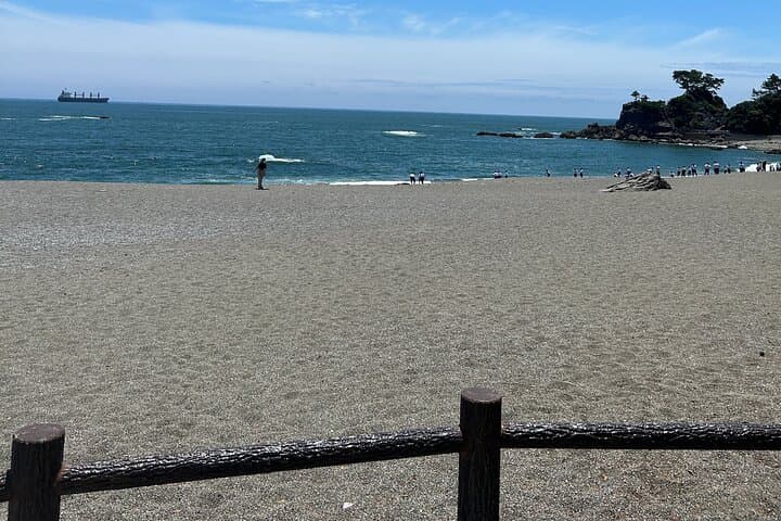 Half-Day Kochi Shore Excursion: Castle, Katsurahama & Hirome Market photo 6