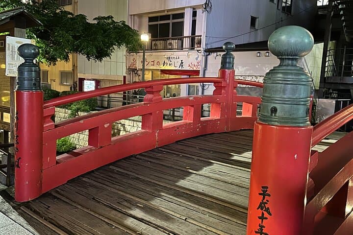 Half-Day Kochi Shore Excursion: Castle, Katsurahama & Hirome Market photo 3