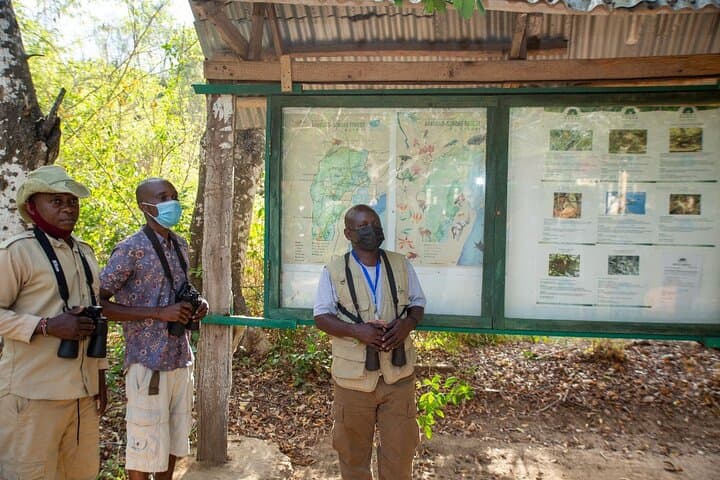 Coastal Forests and Big Game: 3-Day Diani Birding & Tsavo East Safari
