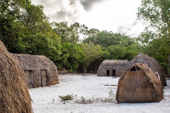 Coastal Forests and Big Game: 3-Day Diani Birding & Tsavo East Safari photo 2
