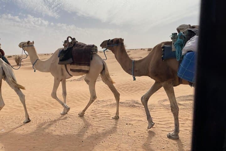 5-Day Private Tunisia Tour — Carthage, El Jem & Sahara Adventure photo 6