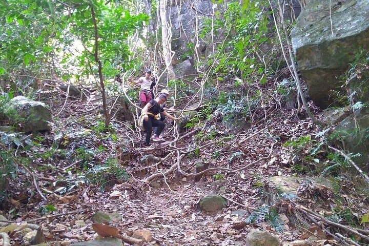 Tien Son Dinh Full-Day Trek on Phu Quoc: Summit, Forests & Coastal Views photo 3