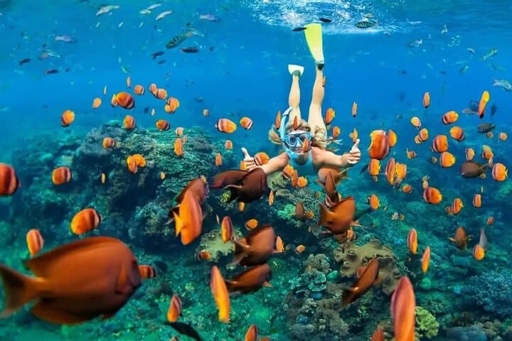Full-Day Scuba Diving in Phu Quoc: Boat Trips to Coral Reefs & Island Dives photo 2