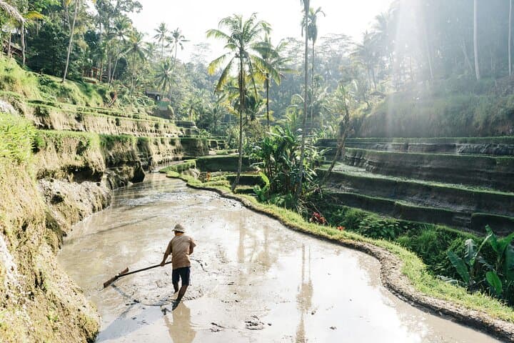 Bali Private Car Day Trip: Custom Tours from Ubud to Temples & Rice Terraces photo 4