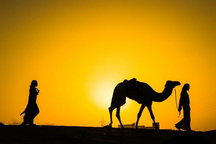 Dune Bashing & Bedouin Camp: Dubai Desert Safari with BBQ Dinner photo 5
