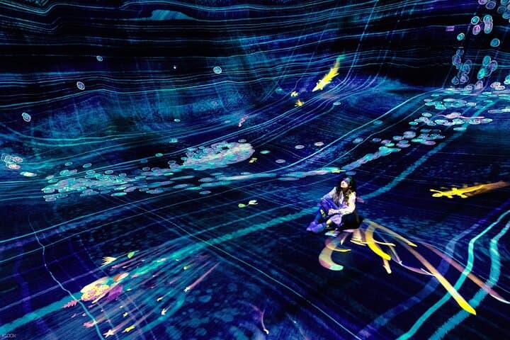 Inside teamLab Phenomena Abu Dhabi: Interactive Digital Art on Saadiyat Island photo 5