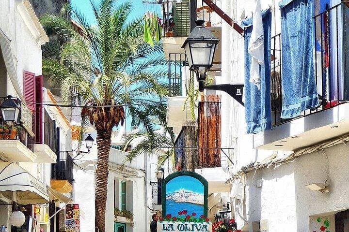 Ibiza in a Day: Best Shore Excursion to Dalt Vila, Santa Gertrudis & Santa Eulalia photo 2