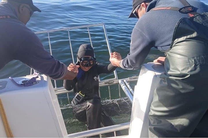 Shark Cage Diving Gansbaai from Cape Town — White Shark Cage Experience with Lunch & Transport photo 3