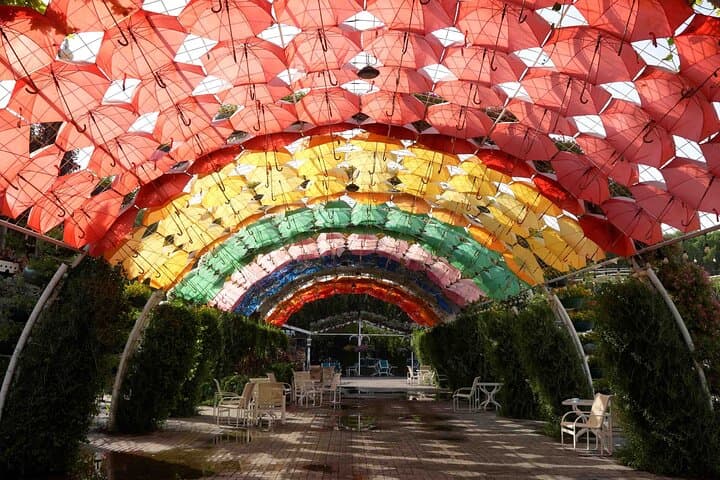 Dubai Miracle Garden: Visit the World's Largest Floral Display — Entry Tickets & Tips photo 4
