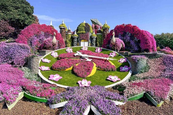 Dubai Miracle Garden: Visit the World's Largest Floral Display — Entry Tickets & Tips photo 5
